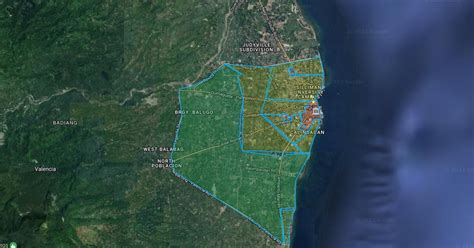 Detailed Satellite Map of Dumaguete City .